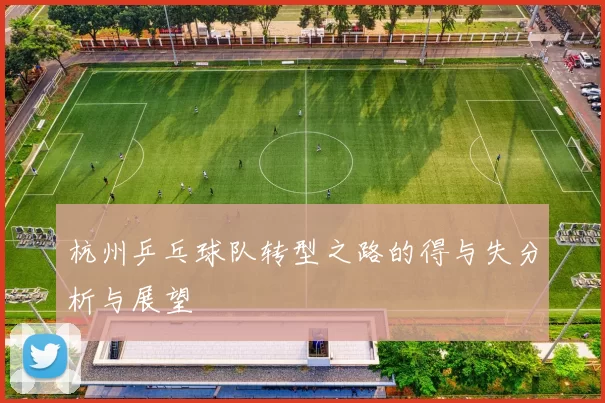杭州乒乓球队转型之路的得与失分析与展望