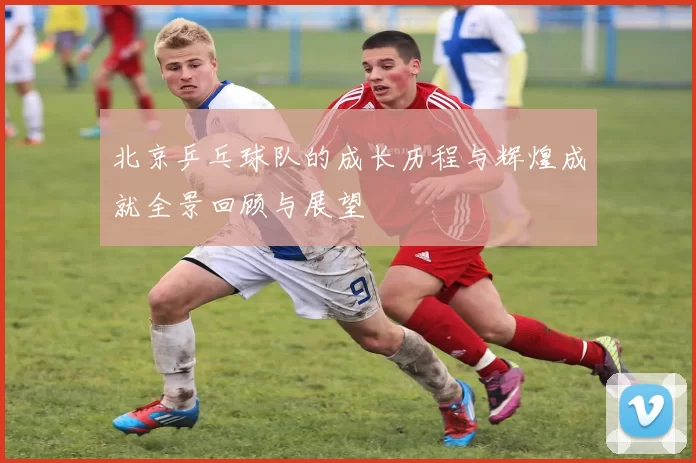 北京乒乓球队的成长历程与辉煌成就全景回顾与展望