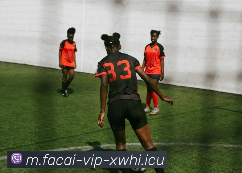 九游体育注册APP 封面图