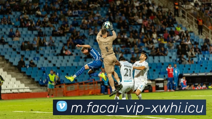 数据防护可视化